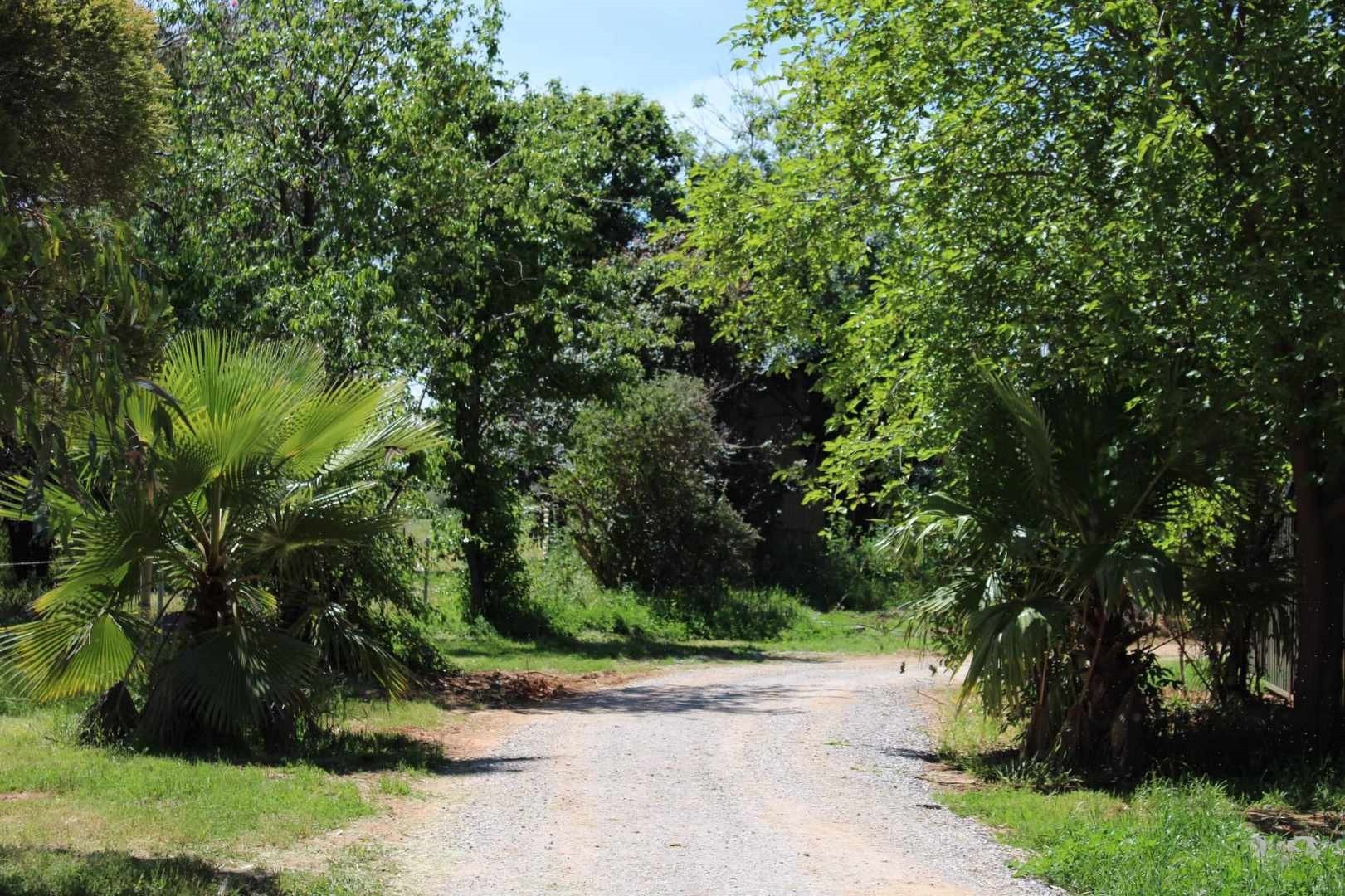 Lot: 3, 10 Havenstock Drive, Yarrawonga, VIC 3730, Yarrawonga - Thumbnail 4
