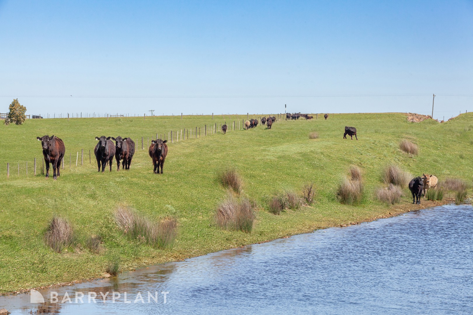 Lot 3/750 Kilmore Lancefield Road, Forbes, VIC 3764 - Thumbnail 2 - 20/10/2025