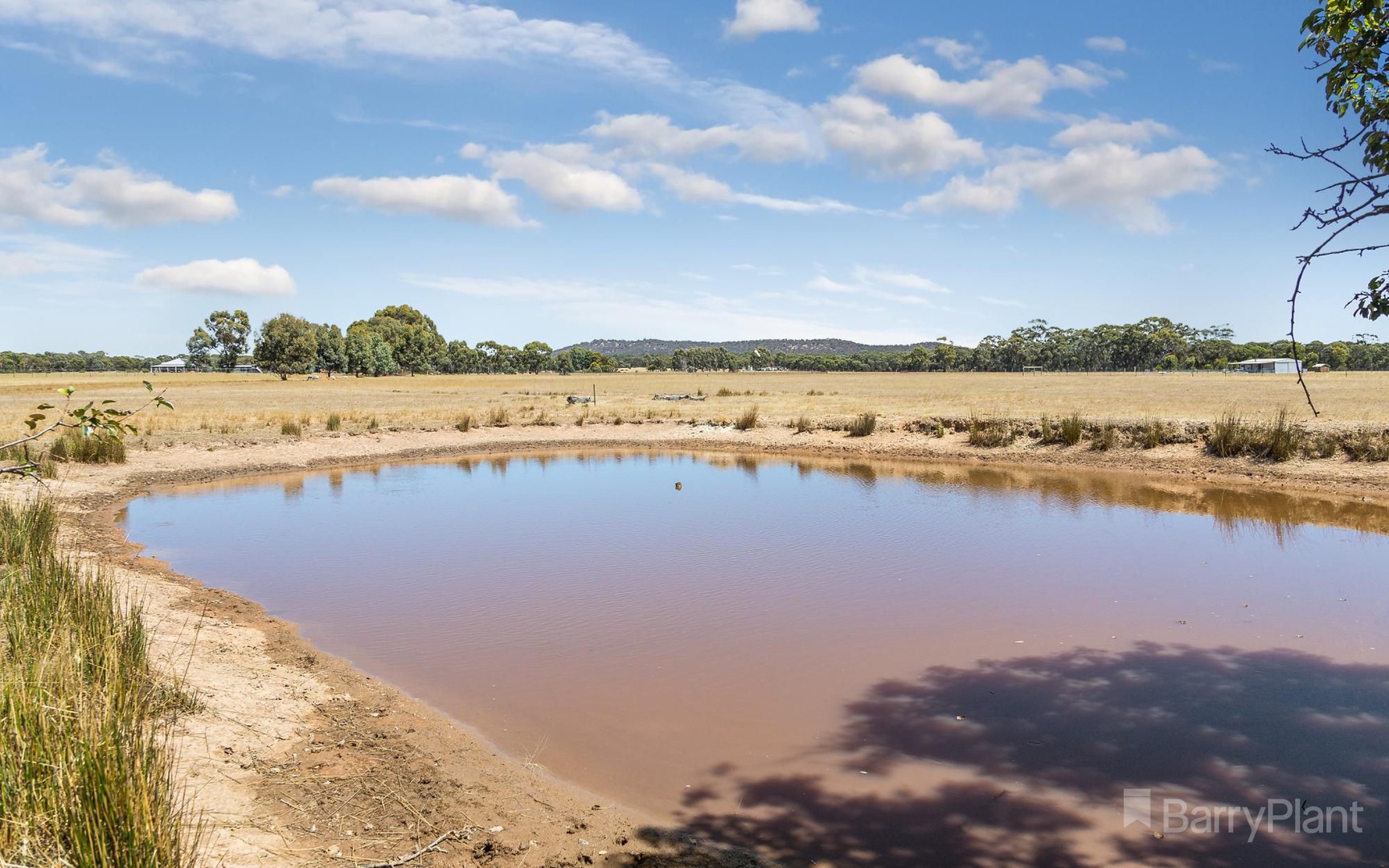 LOT 5 Mileham Road, Inglewood, VIC 3517, Inglewood - Thumbnail 3