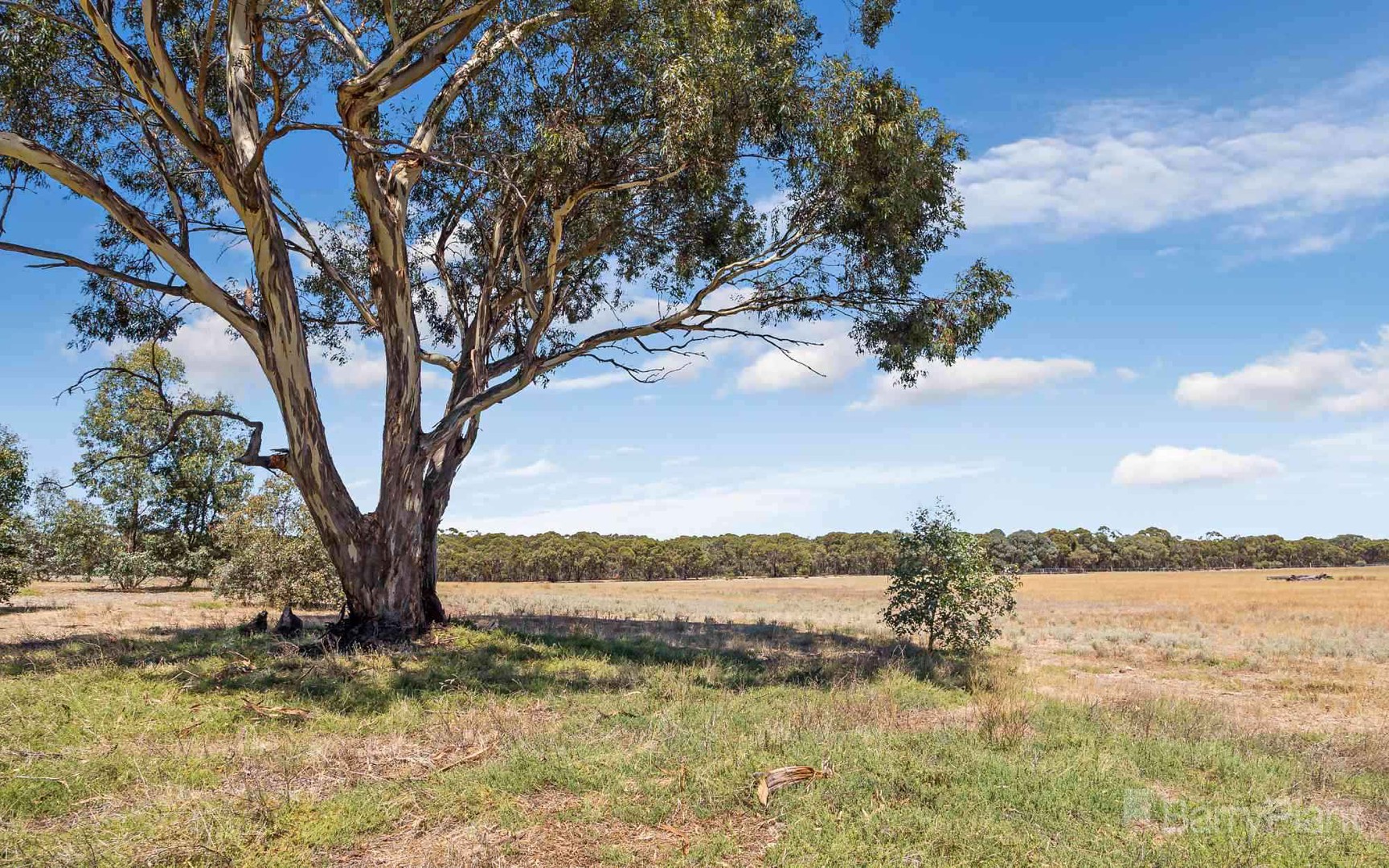 LOT 5 Mileham Road, Inglewood, VIC 3517, Inglewood - Thumbnail 8