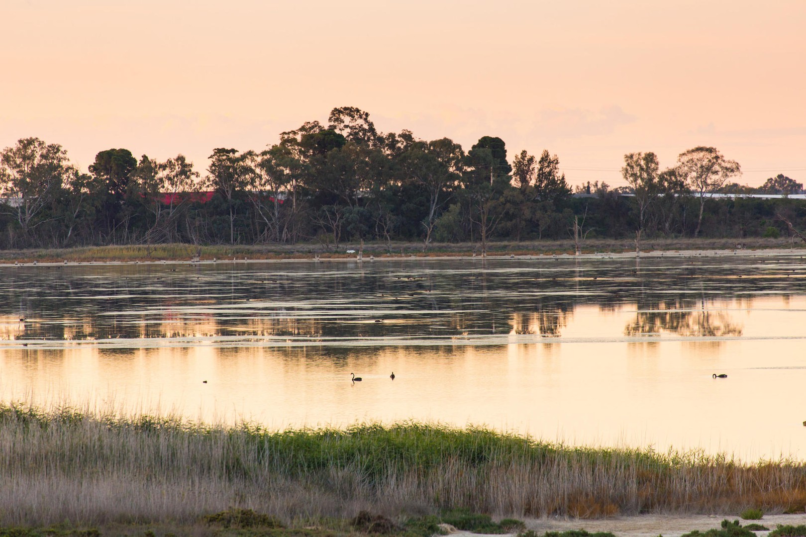 Lot 8 McEdward Street, Birdwoodton, VIC 3505, Birdwoodton - Thumbnail 4