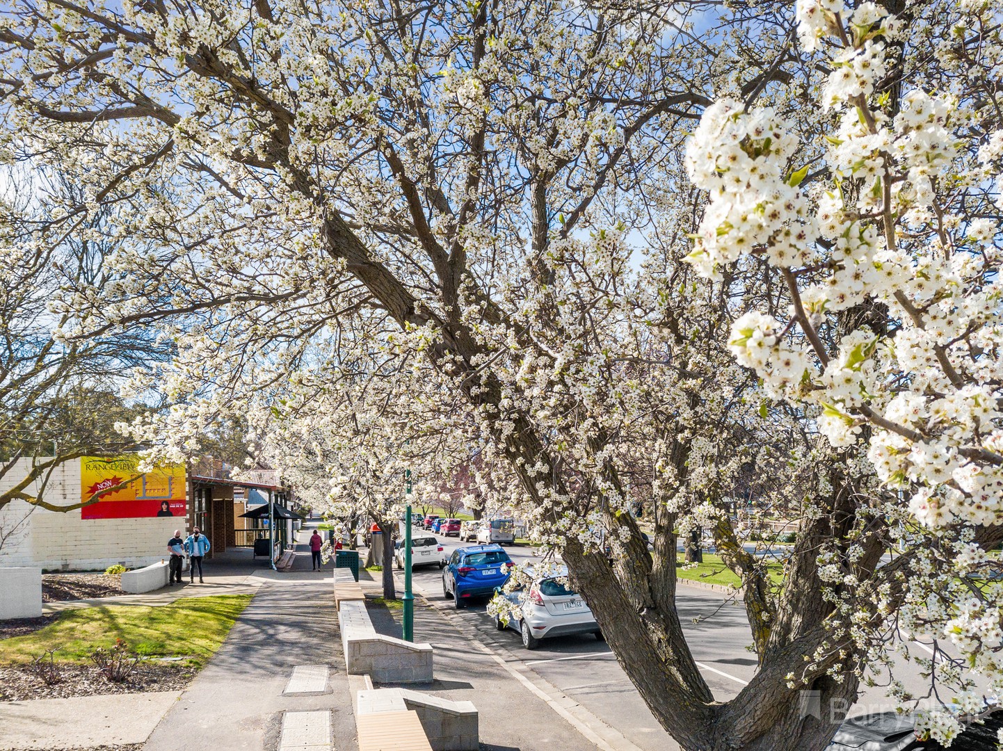 Lot 8 (No 40) Yellowgum Avenue, Riddells Creek, VIC 3431 - Thumbnail 2 - 02/02/2023