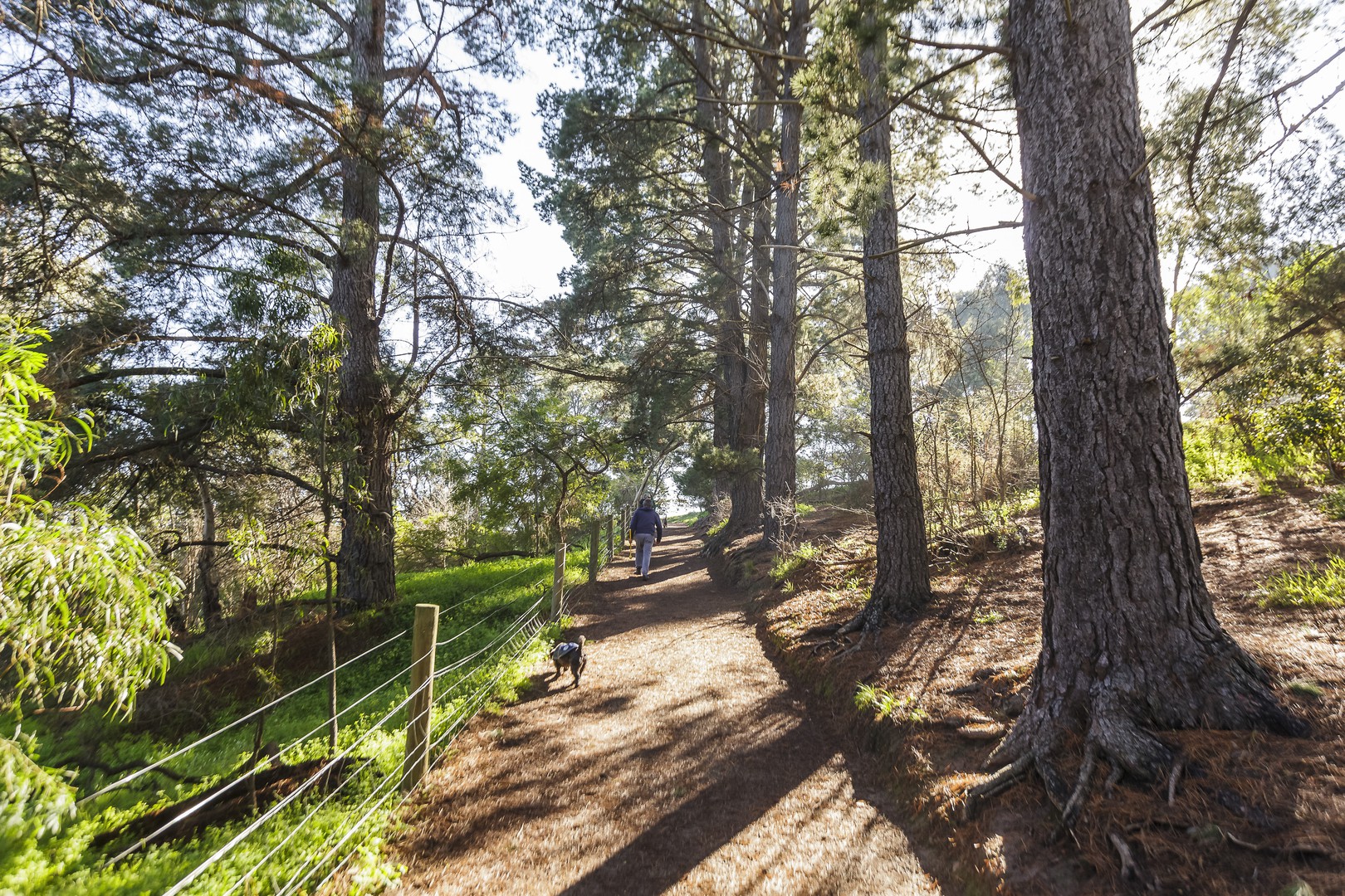LOT/310 Kyla Avenue, Dandenong, Dandenong - Thumbnail 8