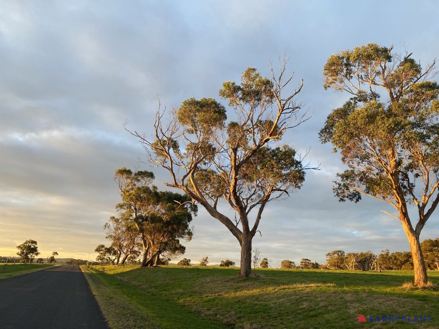 Majestic Vista, Wattle Bank, VIC 3995 - Thumbnail 1 - 06/10/2025