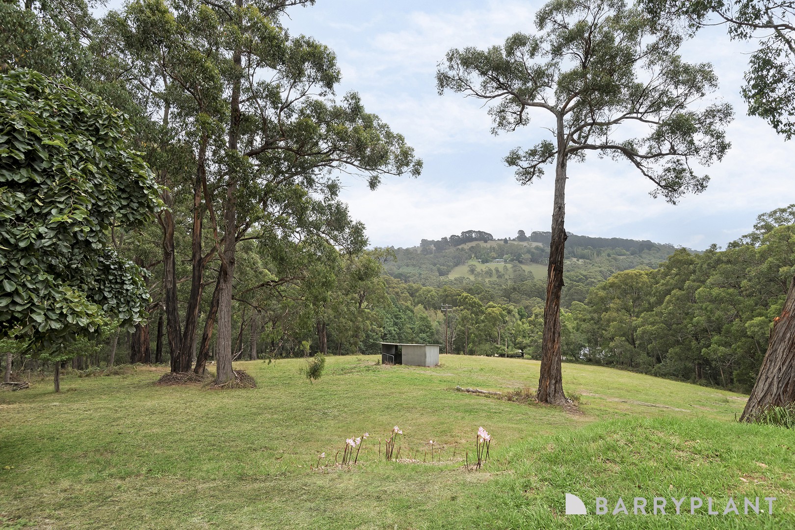 280 Mann Road, Pakenham Upper, VIC 3810, Pakenham Upper - Thumbnail 3