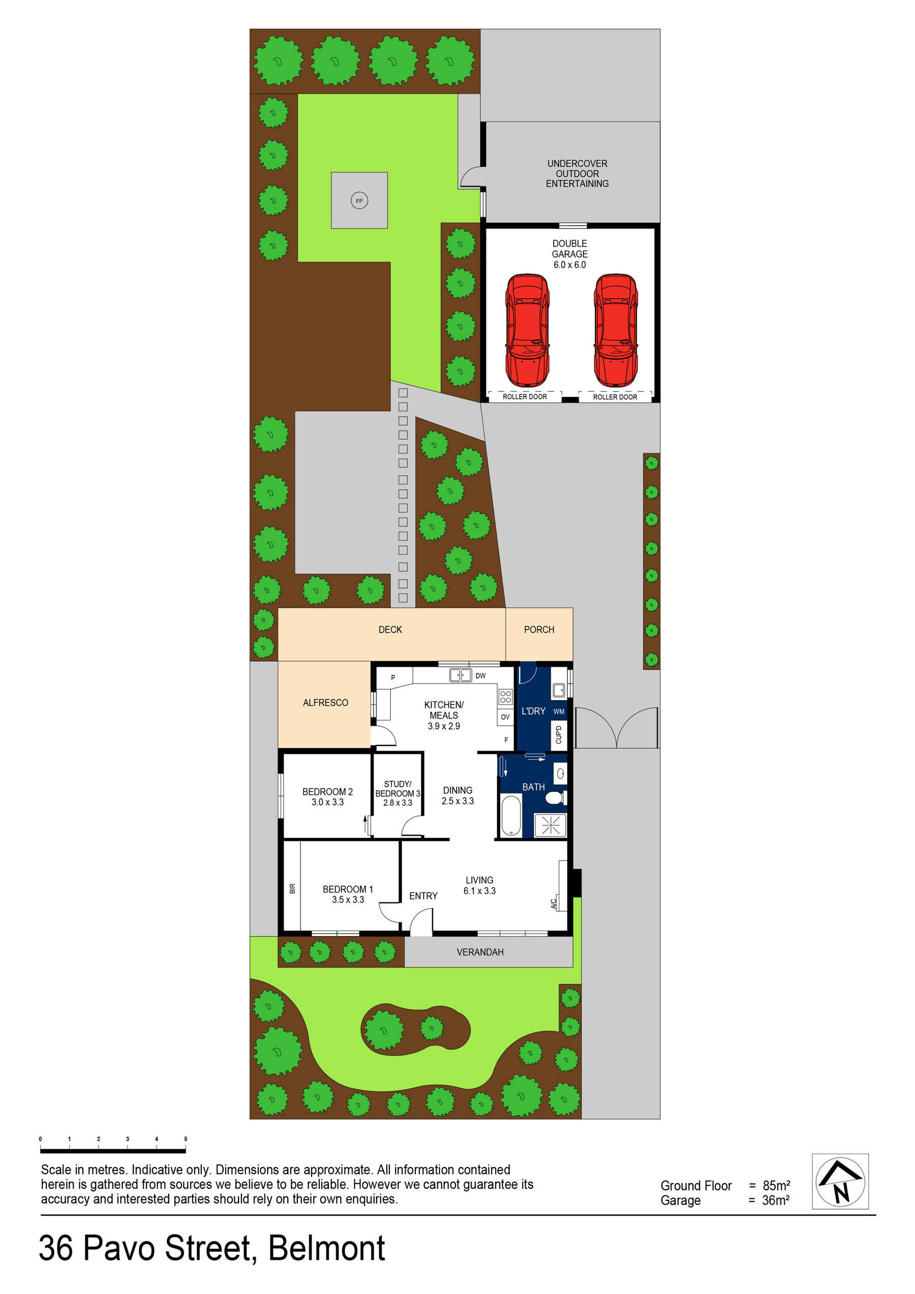 36 Pavo Street, Belmont, VIC 3216 - Thumbnail 1 - 03/12/2024